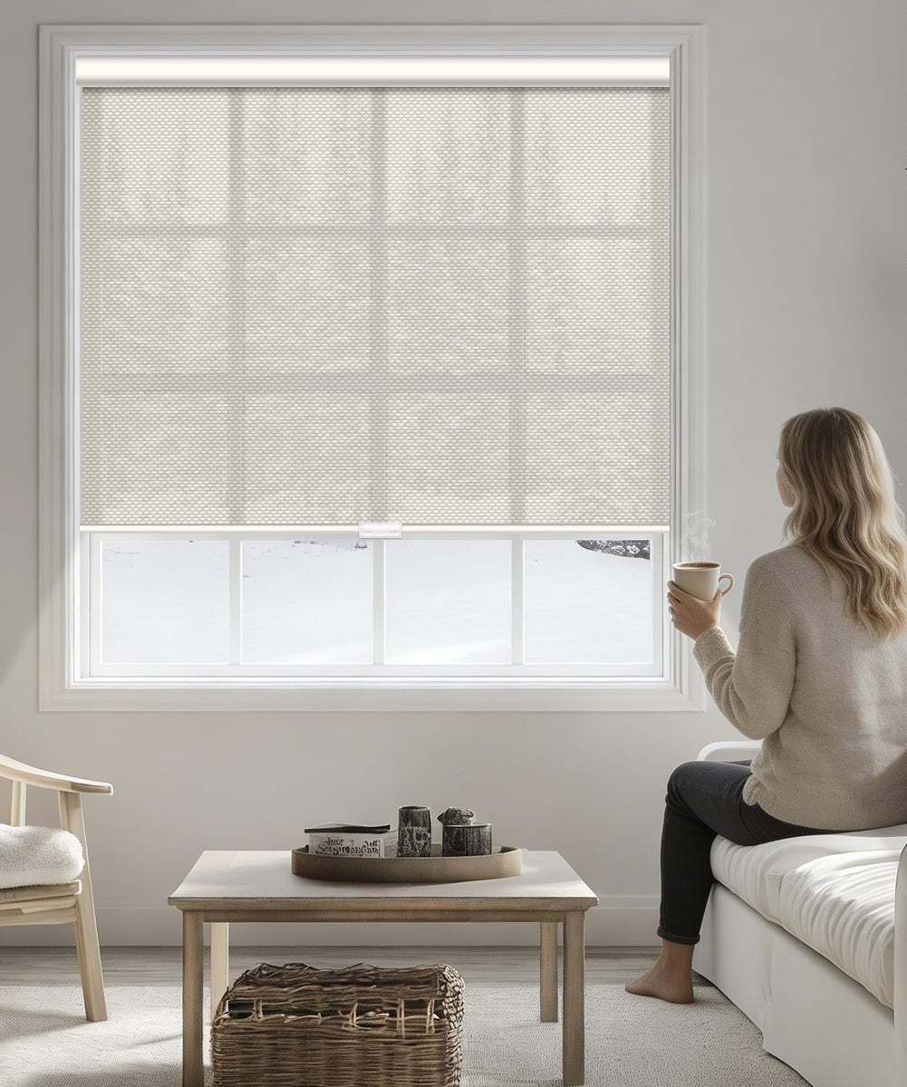 Manual Cordless Light Filtering Roller Shade - Fireproof Fabric