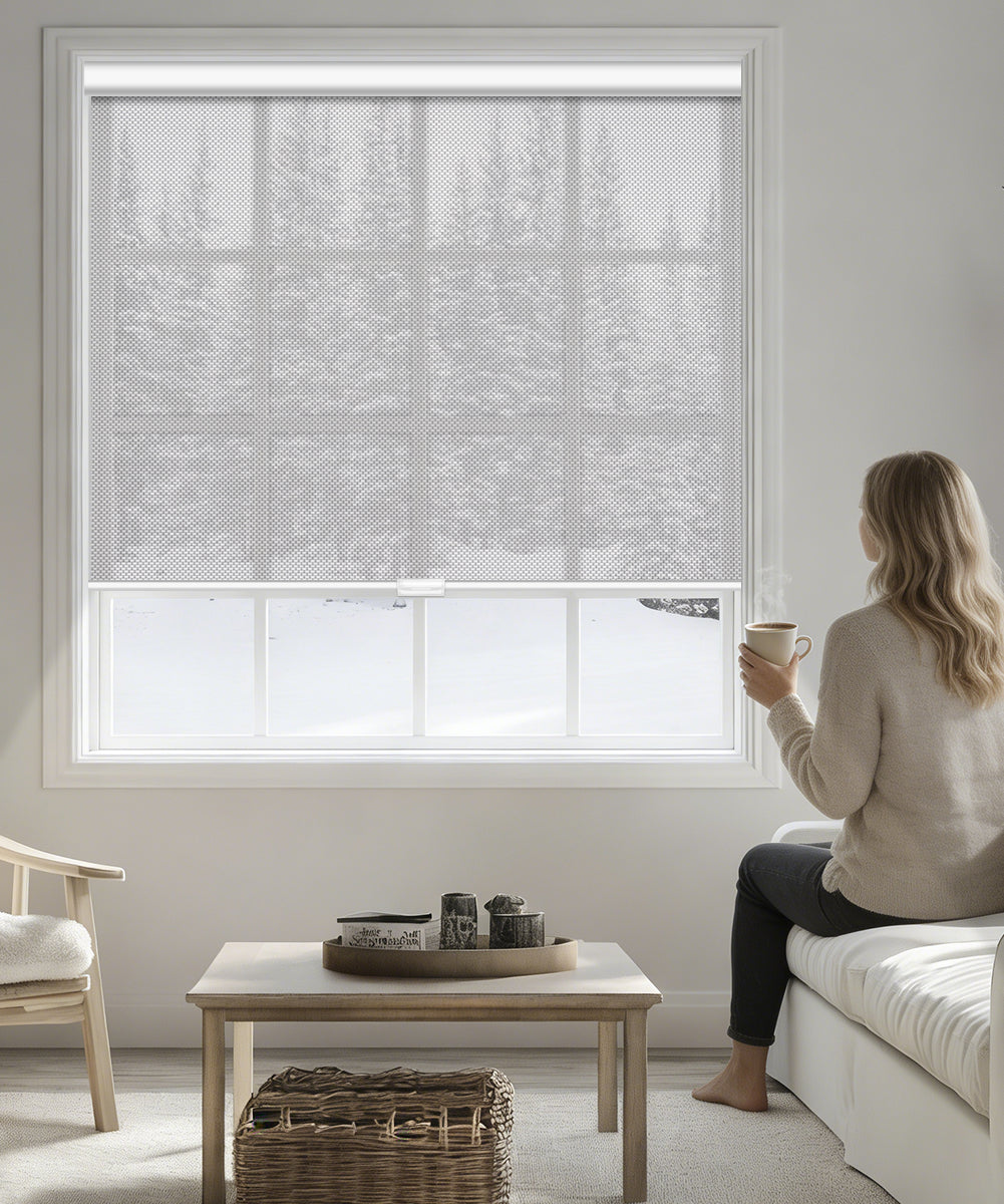 Manual Cordless Light Filtering Roller Shade - Fireproof Fabric