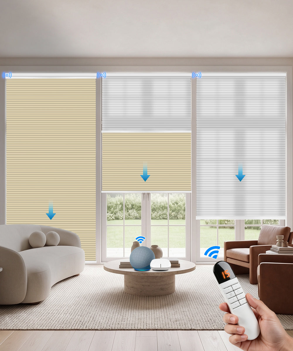 Motorized Day Night Cellular Shade (Light Filtering + Blackout)
