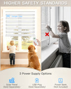 Smart Motorized Zebra Blinds
