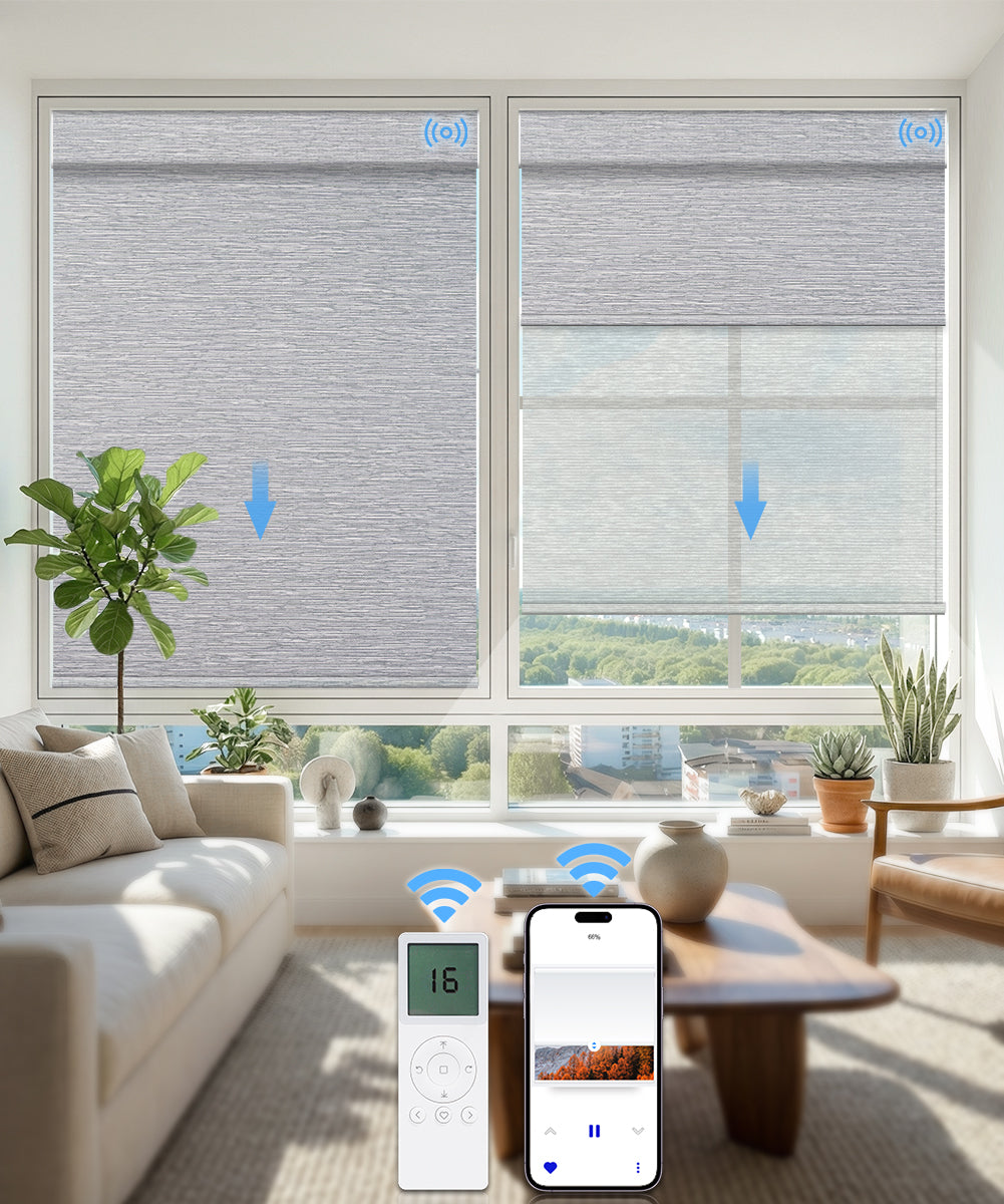 Motorized Dual Roller Shades, Blackout & Sheer, Custom Size