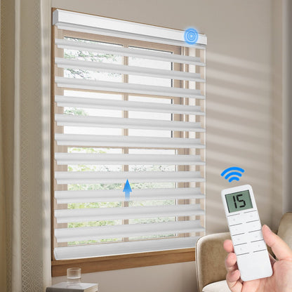 Motorized Blackout Shangri - La Sheer Shade - Tokblind official